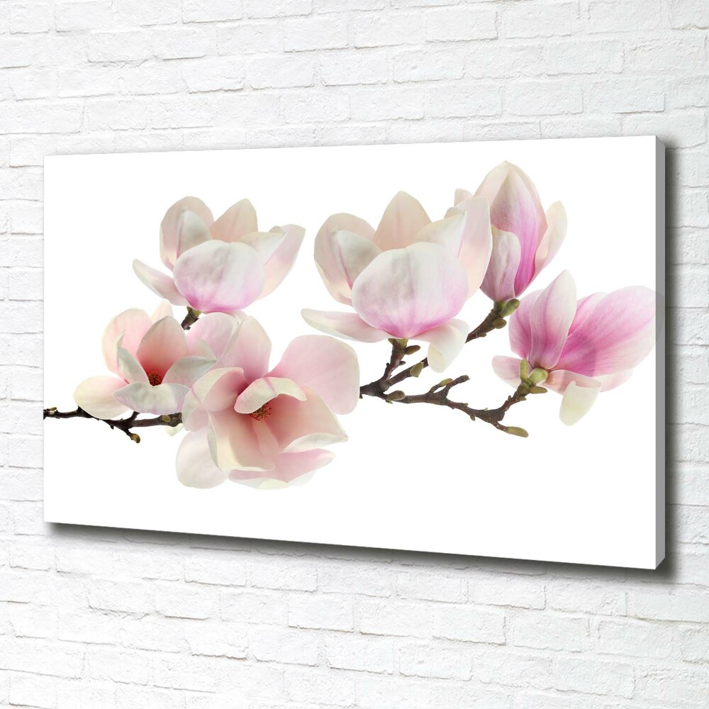 Tableau toile imprimée Magnolia