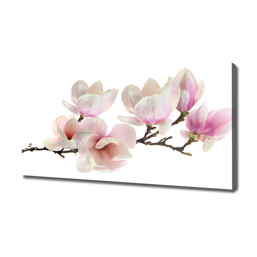 Tableau toile imprimée Magnolia