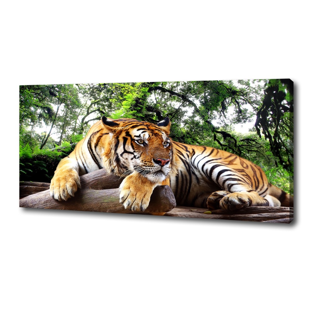 Tableau mural sur toile Tigre sur un rocher