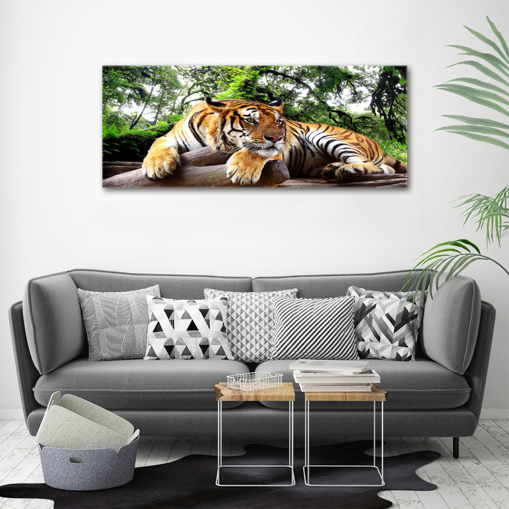 Tableau mural sur toile Tigre sur un rocher