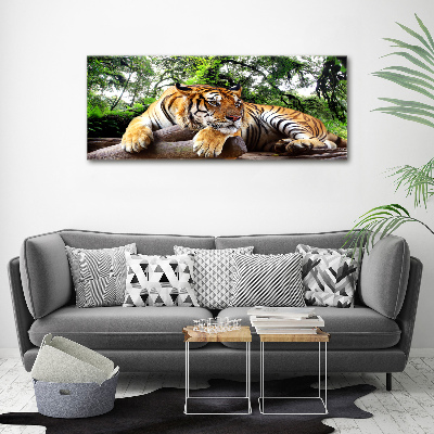 Tableau mural sur toile Tigre sur un rocher