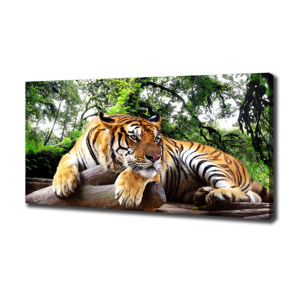 Tableau mural sur toile Tigre sur un rocher