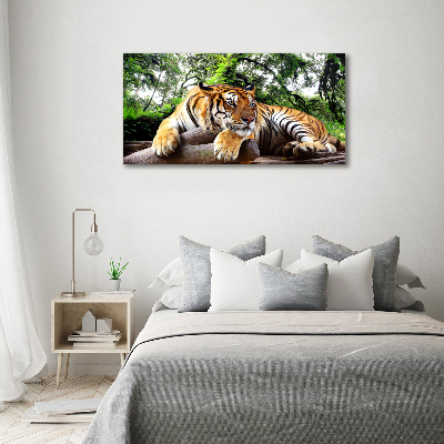 Tableau mural sur toile Tigre sur un rocher