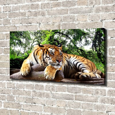 Tableau mural sur toile Tigre sur un rocher