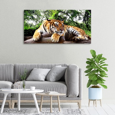 Tableau mural sur toile Tigre sur un rocher