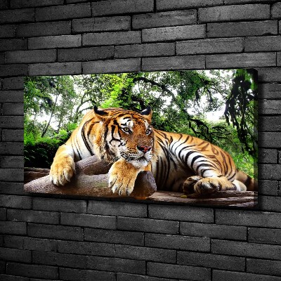 Tableau mural sur toile Tigre sur un rocher