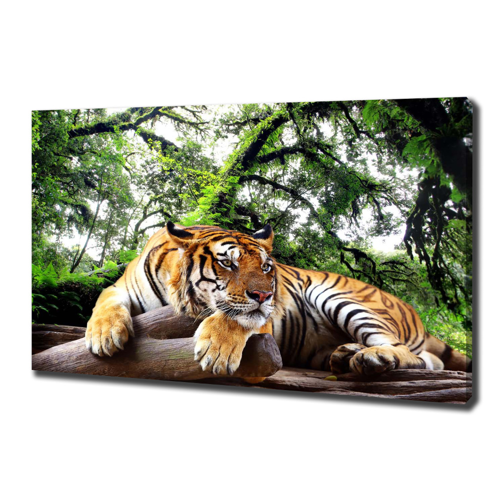 Tableau mural sur toile Tigre sur un rocher