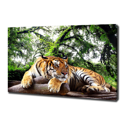 Tableau mural sur toile Tigre sur un rocher