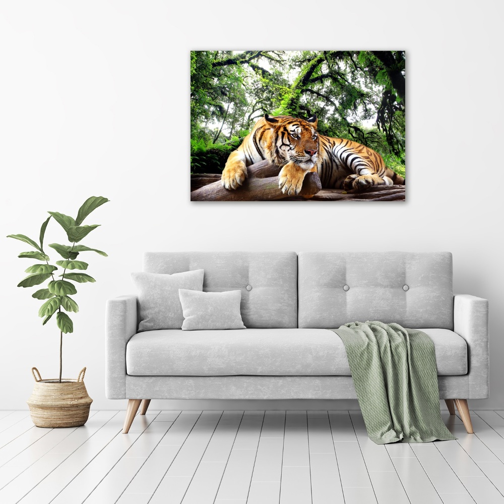 Tableau mural sur toile Tigre sur un rocher