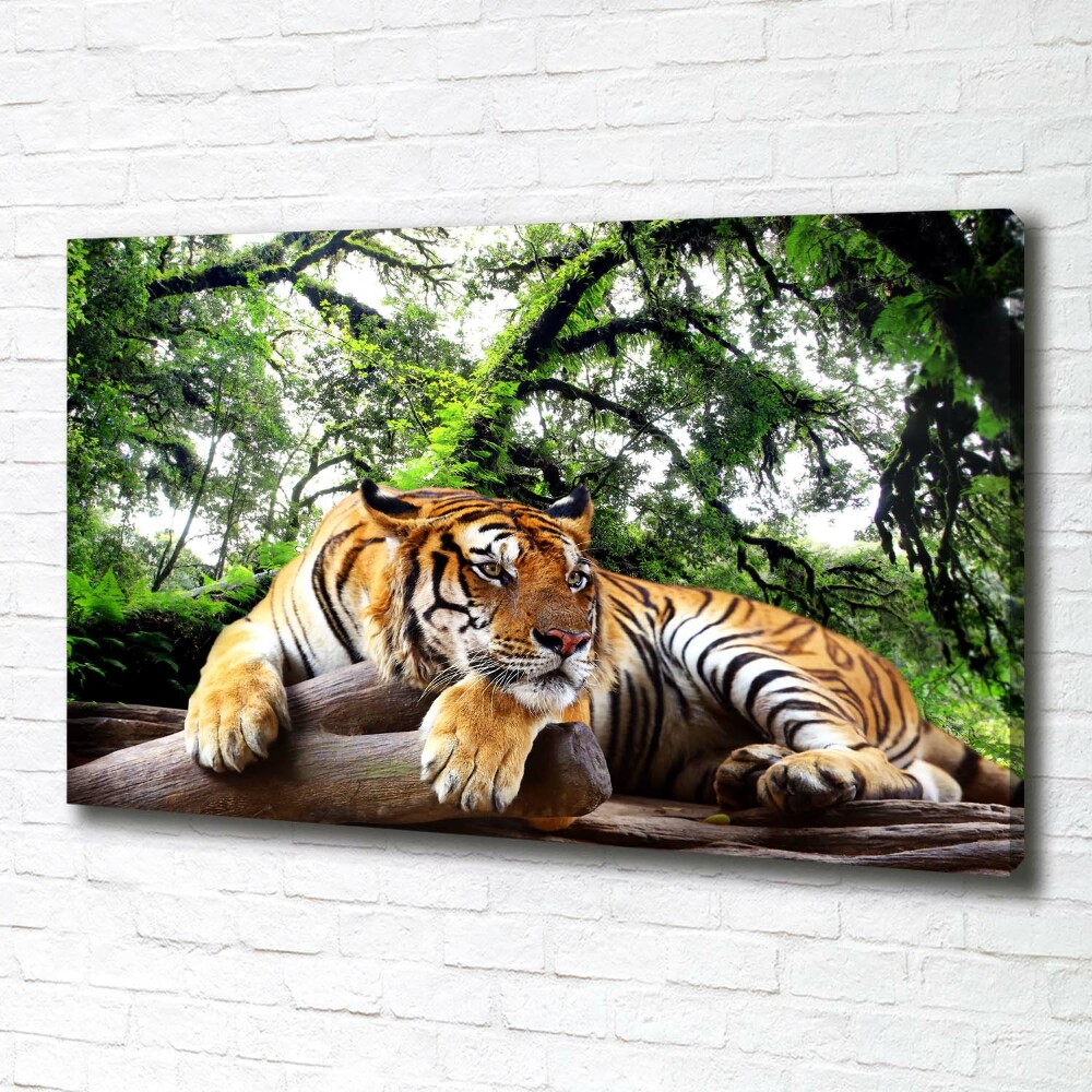 Tableau mural sur toile Tigre sur un rocher