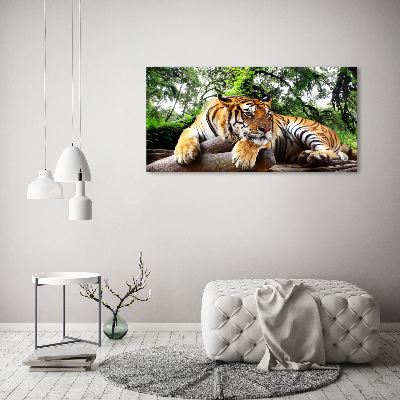 Tableau mural sur toile Tigre sur un rocher