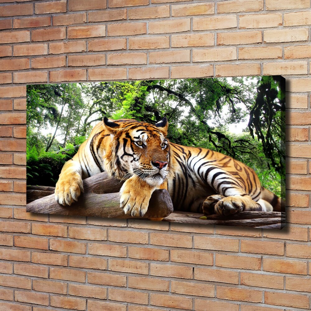 Tableau mural sur toile Tigre sur un rocher