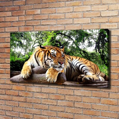 Tableau mural sur toile Tigre sur un rocher