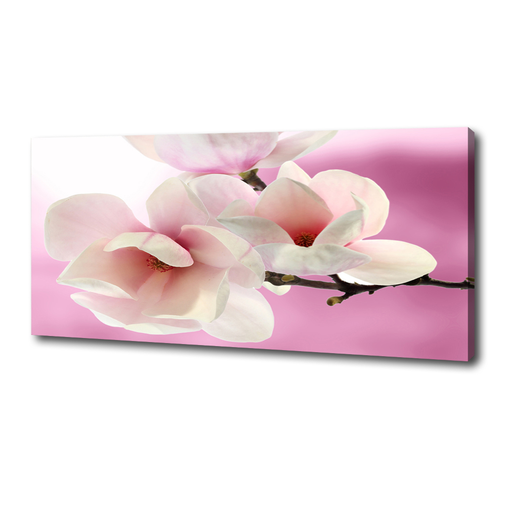 Tableau imprimé sur toile Magnolia