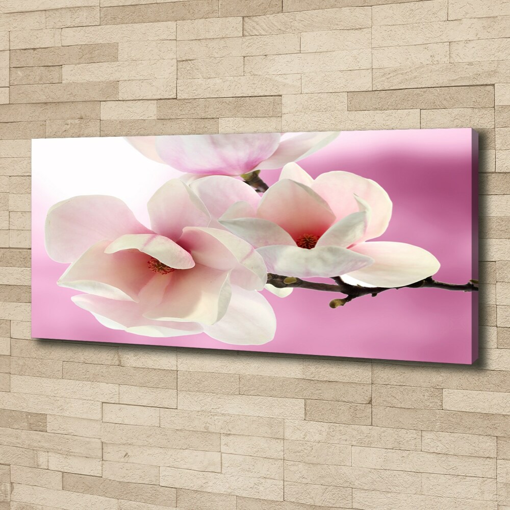 Tableau imprimé sur toile Magnolia