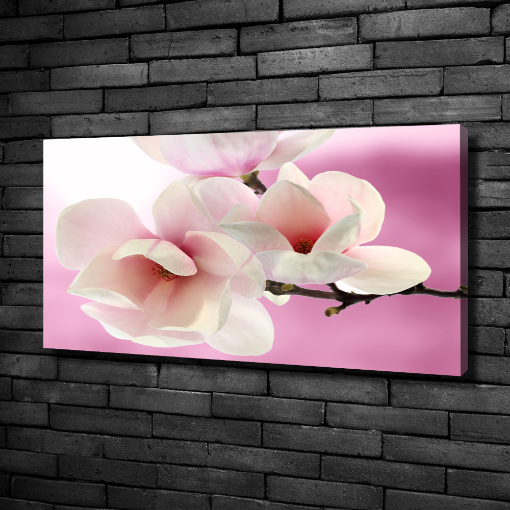 Tableau imprimé sur toile Magnolia