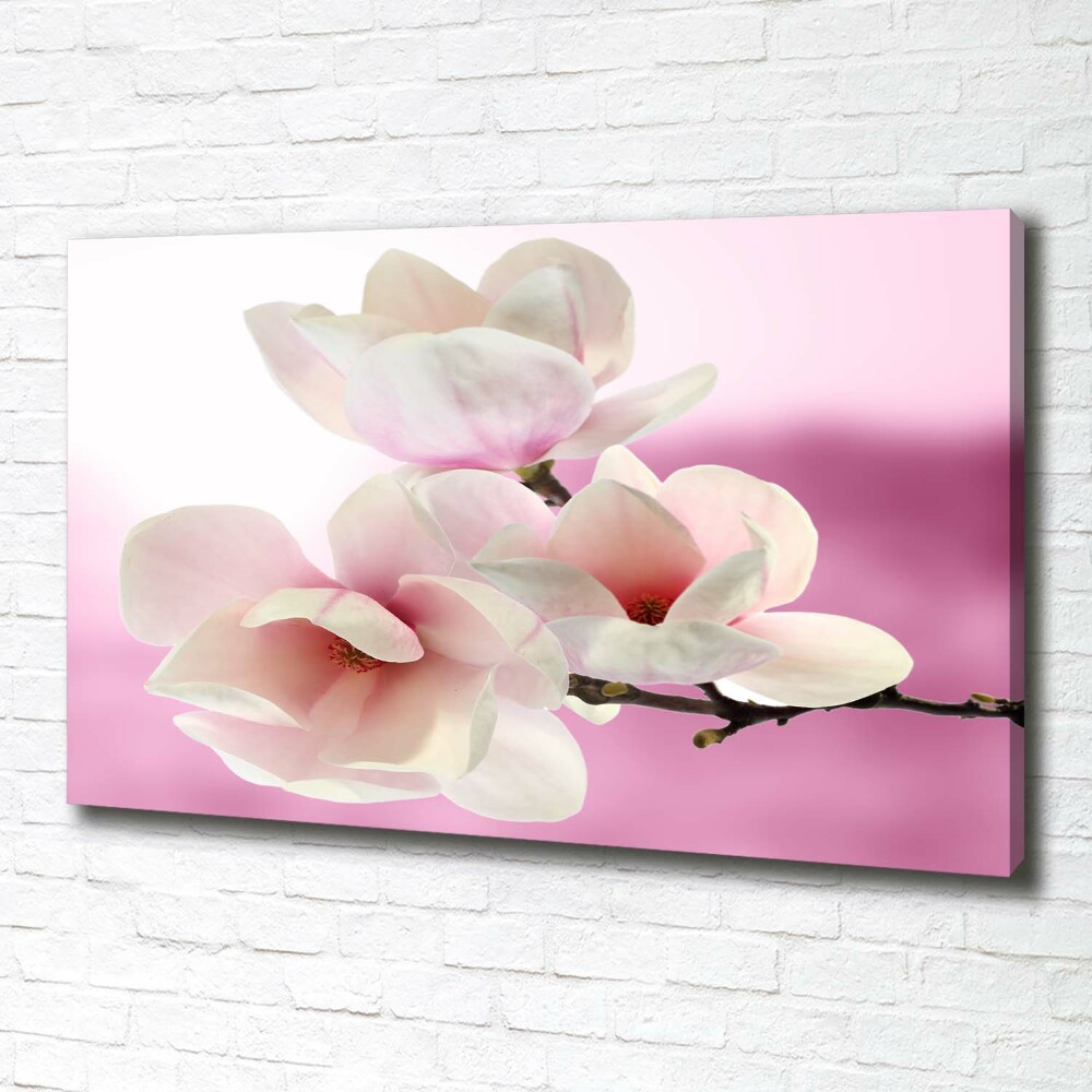 Tableau imprimé sur toile Magnolia