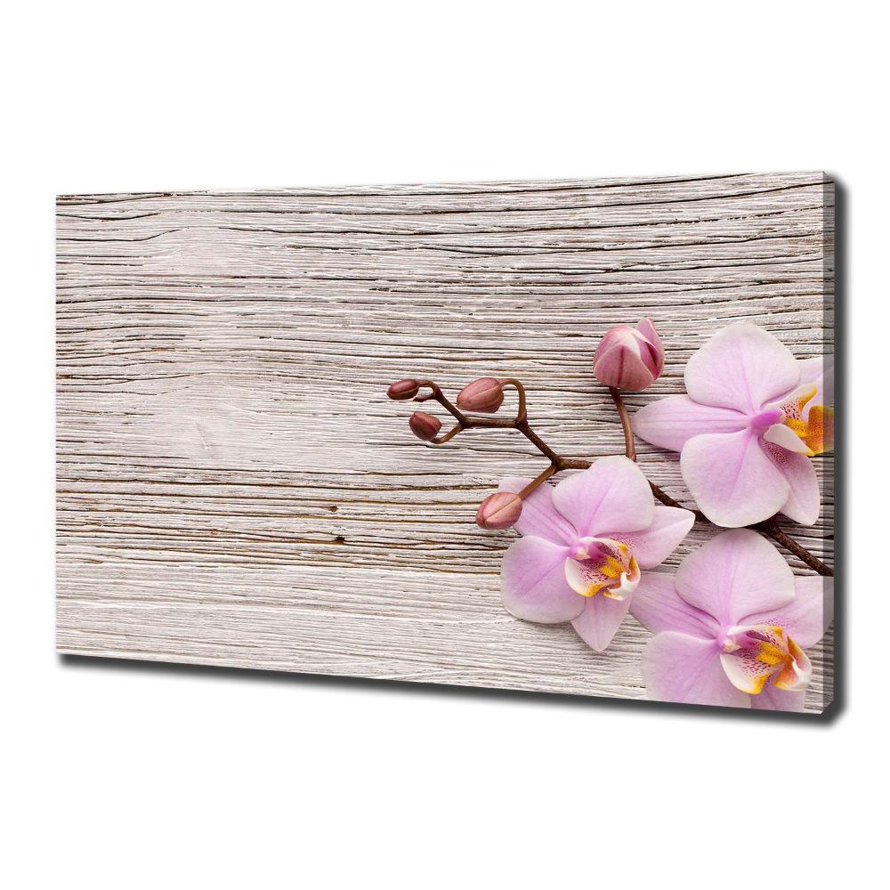 Tableau mural sur toile Orchidée sur bois