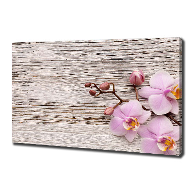 Tableau mural sur toile Orchidée sur bois