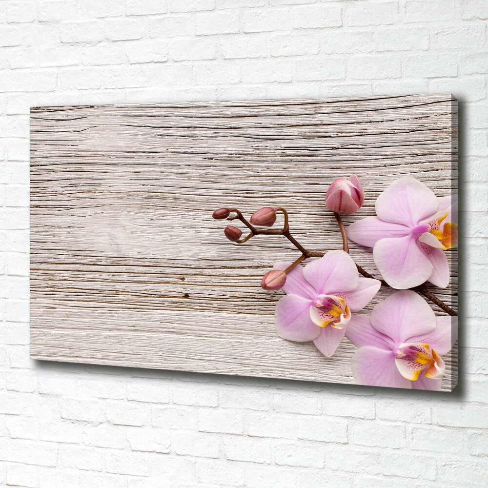 Tableau mural sur toile Orchidée sur bois