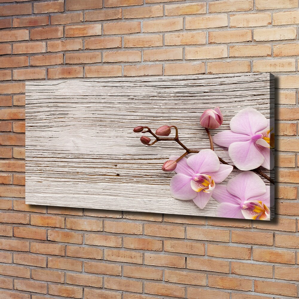 Tableau mural sur toile Orchidée sur bois