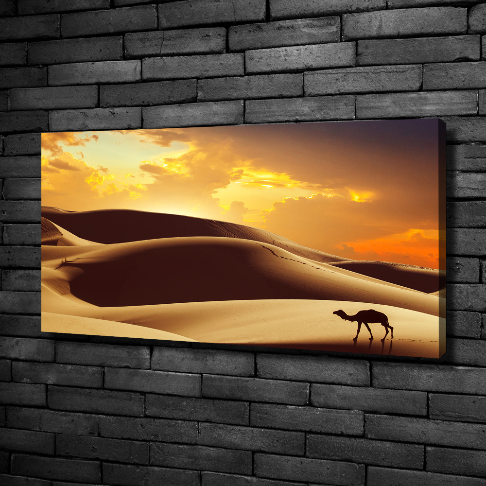 Tableau toile imprimée Chameau du Sahara