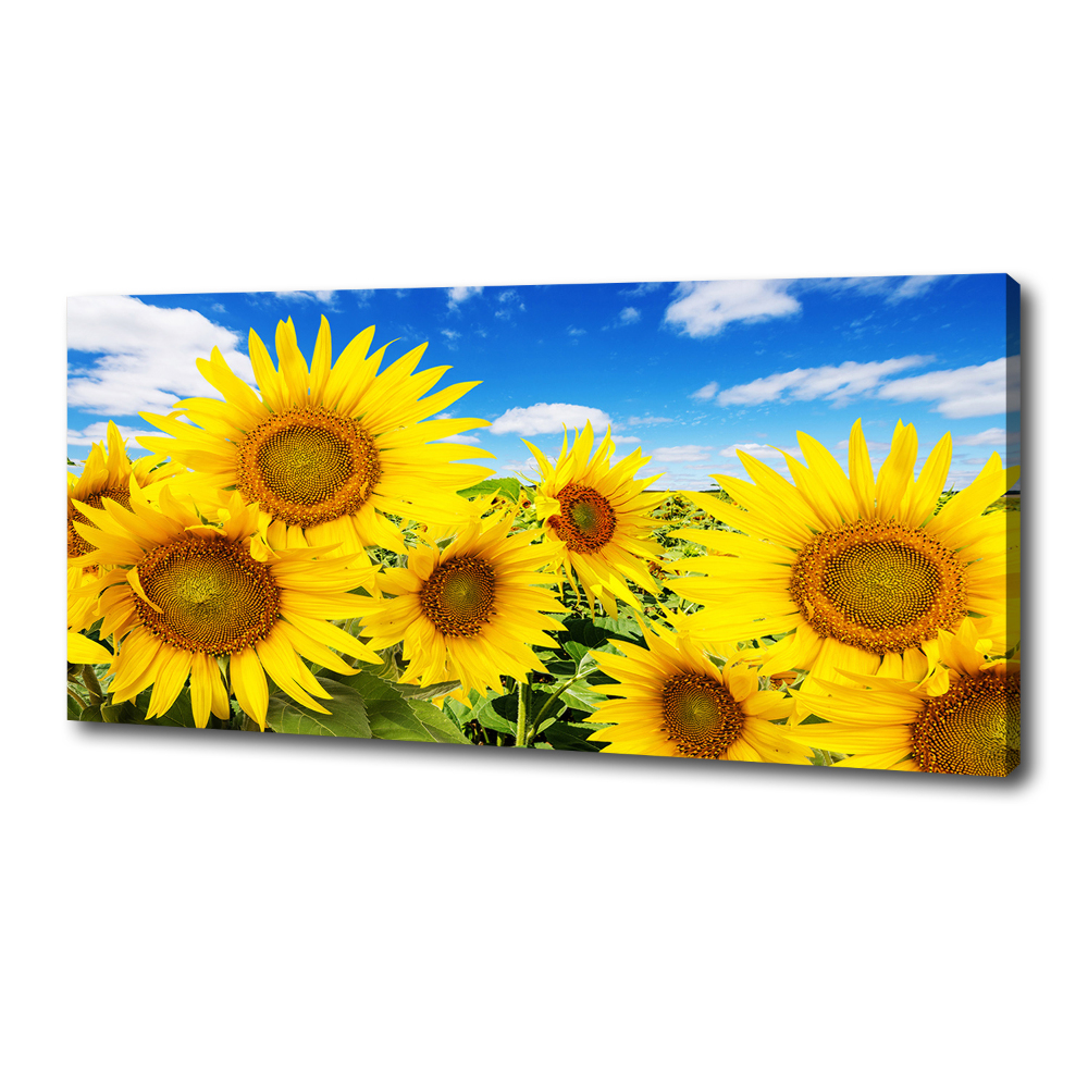 Tableau mural sur toile Tournesol