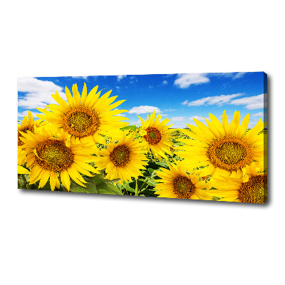 Tableau mural sur toile Tournesol