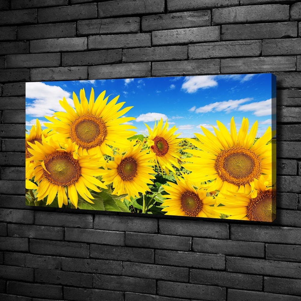 Tableau mural sur toile Tournesol