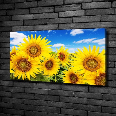 Tableau mural sur toile Tournesol