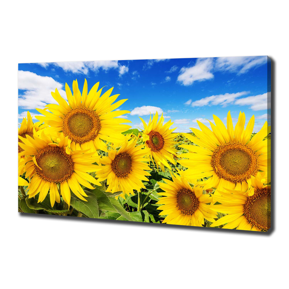 Tableau mural sur toile Tournesol