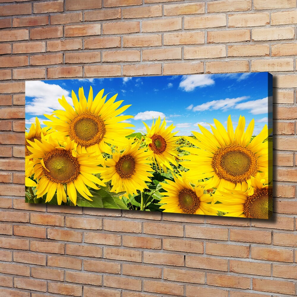 Tableau mural sur toile Tournesol