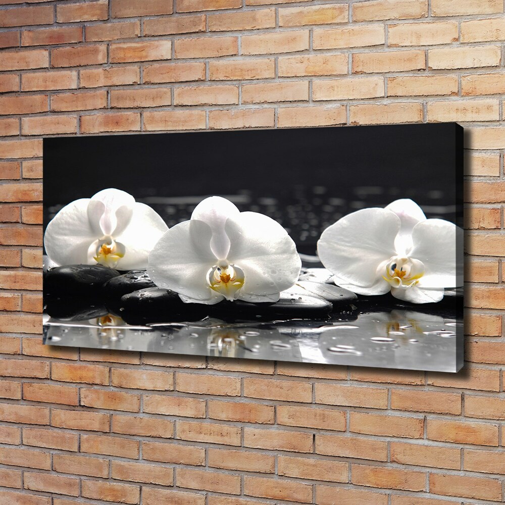 Tableau toile imprimée Orchidée