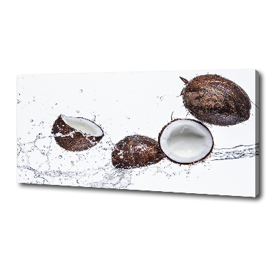 Tableau photo sur toile Noix de coco et eau