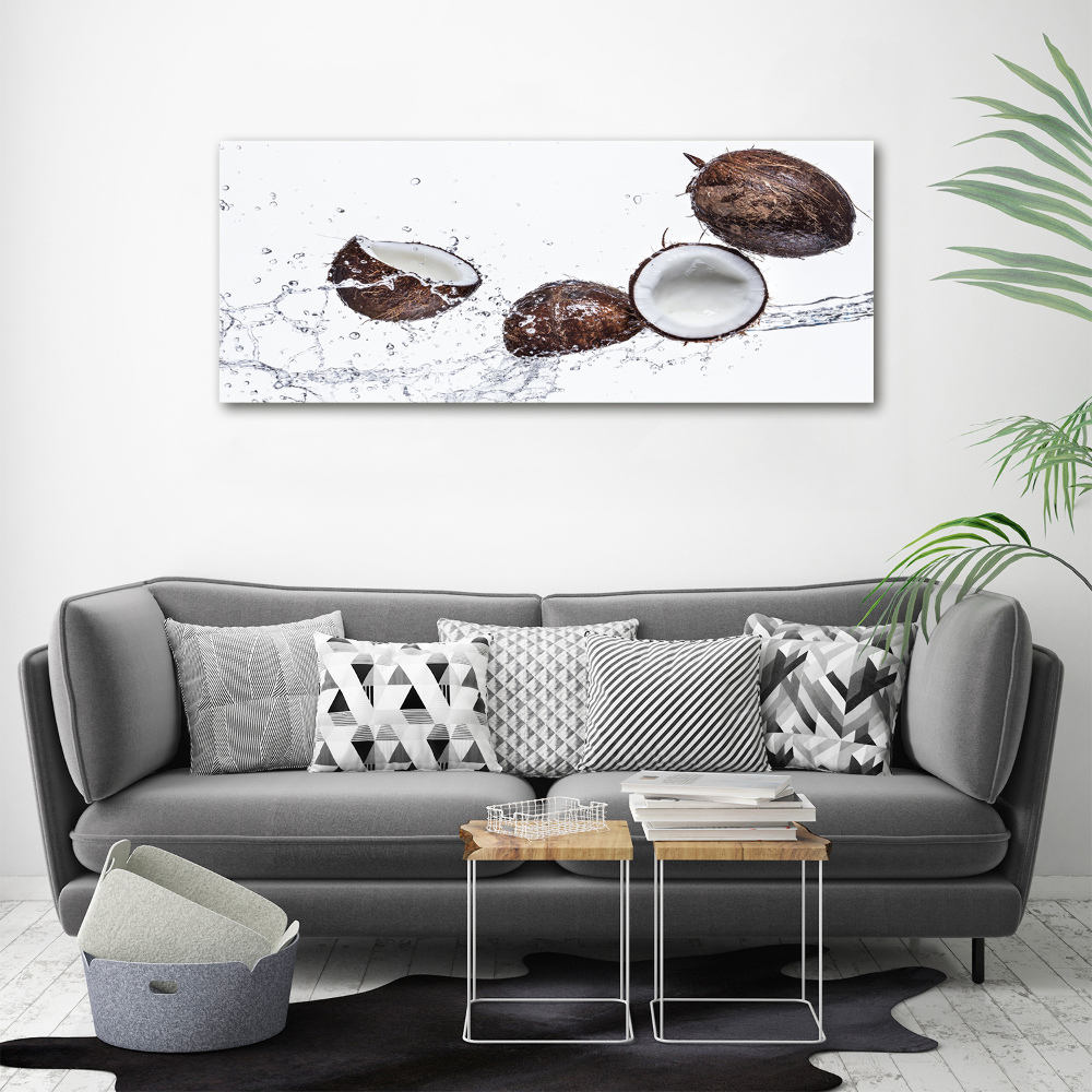 Tableau photo sur toile Noix de coco et eau