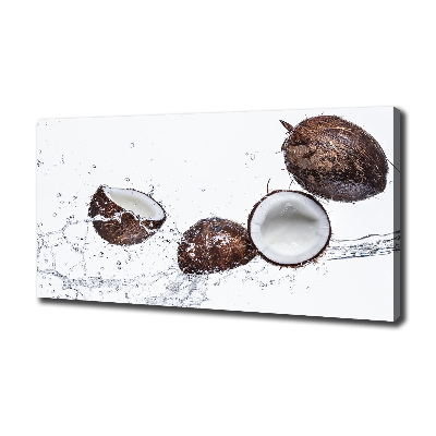 Tableau photo sur toile Noix de coco et eau