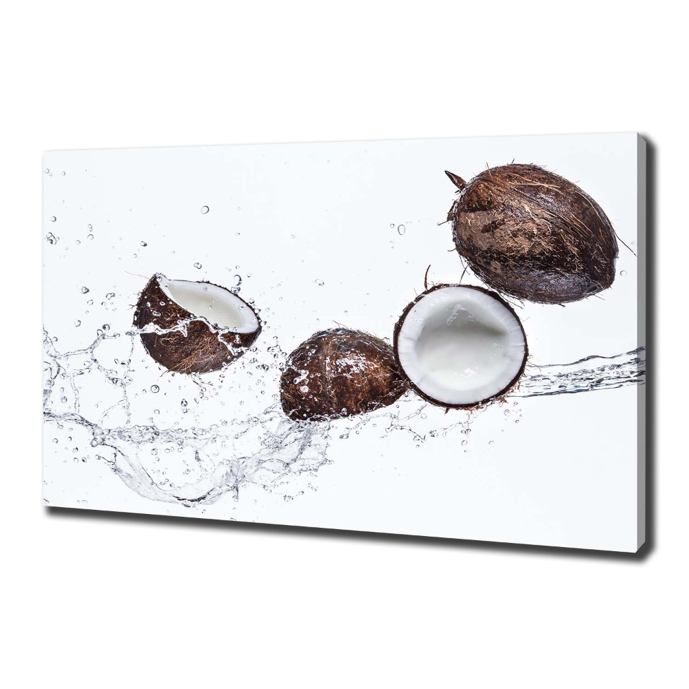 Tableau photo sur toile Noix de coco et eau