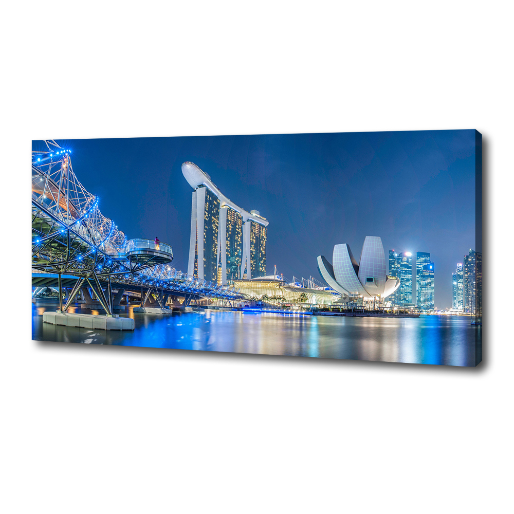 Tableau imprimé sur toile Singapour de nuit