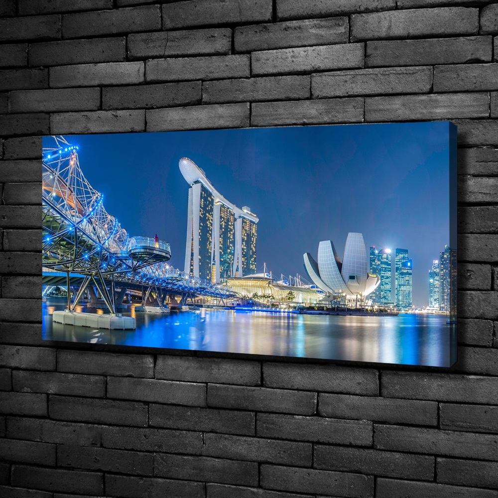 Tableau imprimé sur toile Singapour de nuit