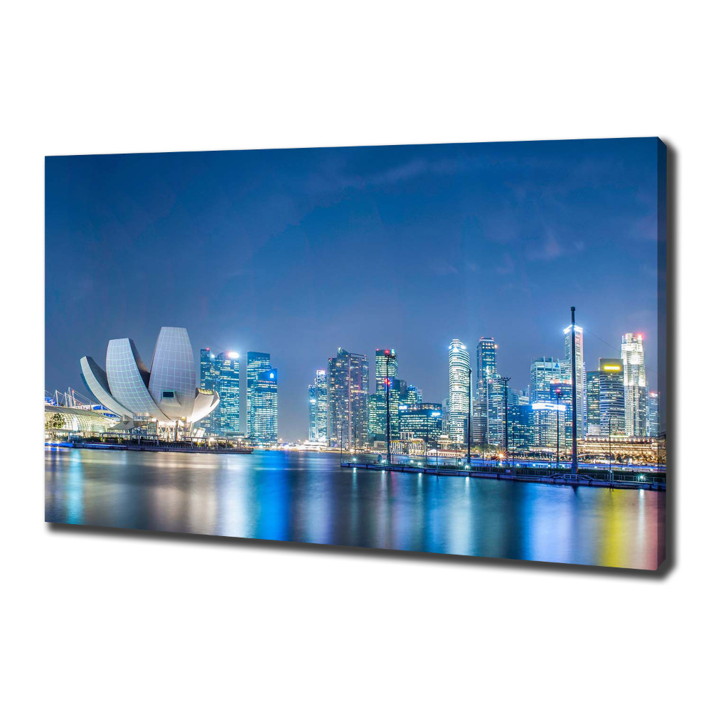 Tableau imprimé sur toile Singapour de nuit