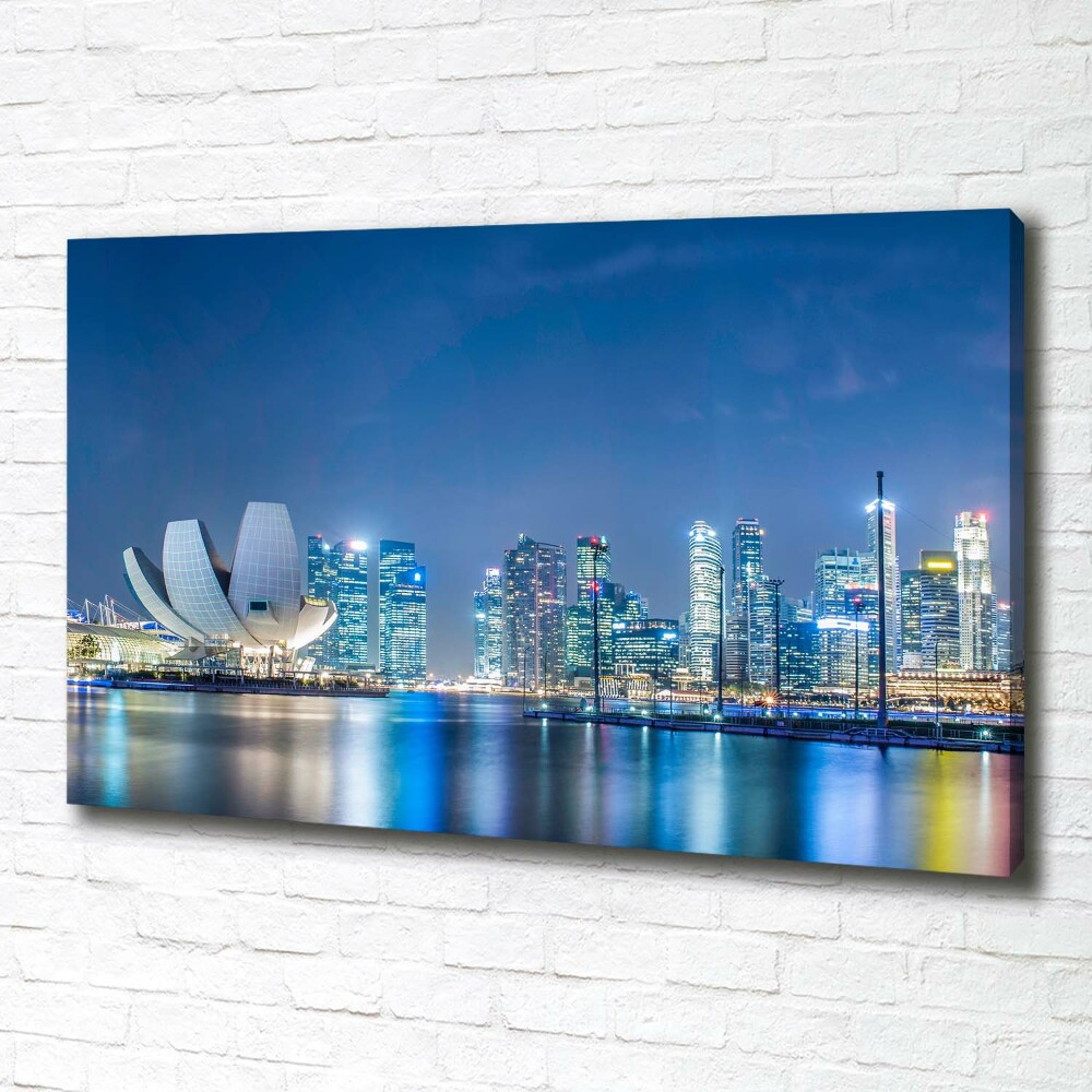 Tableau imprimé sur toile Singapour de nuit