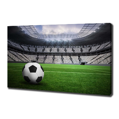 Tableau photo sur toile Football sur le stade