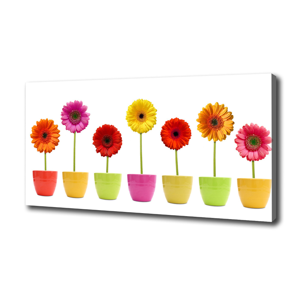 Tableau toile imprimée Gerberas colorés