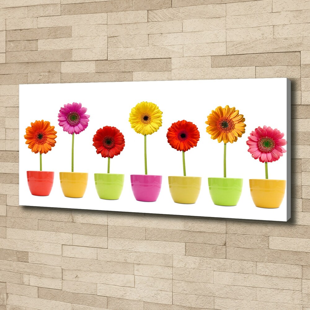 Tableau toile imprimée Gerberas colorés