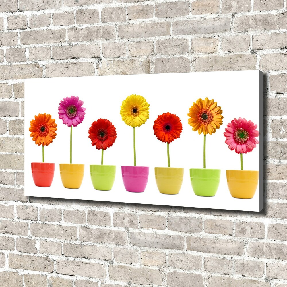 Tableau toile imprimée Gerberas colorés