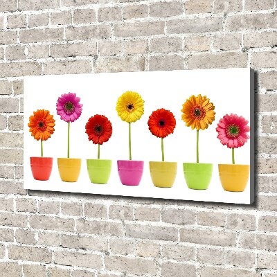 Tableau toile imprimée Gerberas colorés