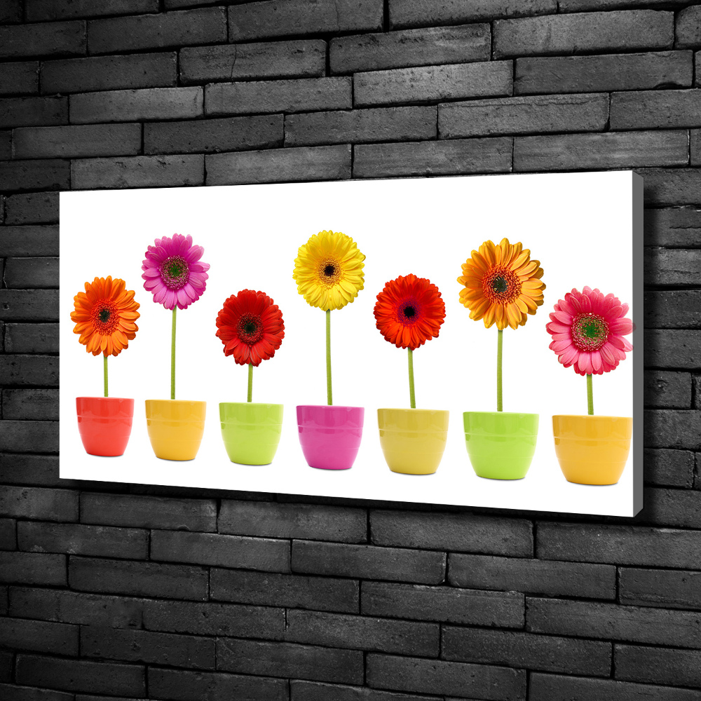 Tableau toile imprimée Gerberas colorés