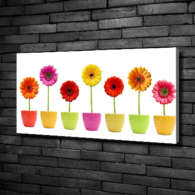 Tableau toile imprimée Gerberas colorés