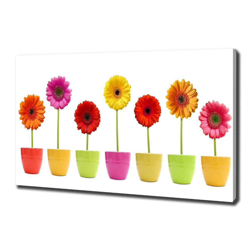 Tableau toile imprimée Gerberas colorés