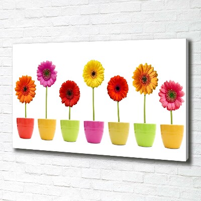 Tableau toile imprimée Gerberas colorés